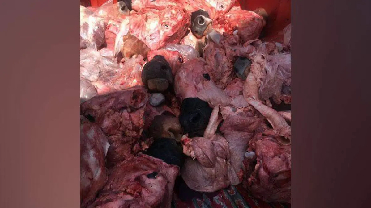 CARNICERIAS-CARLOS-PEREZ-(1)