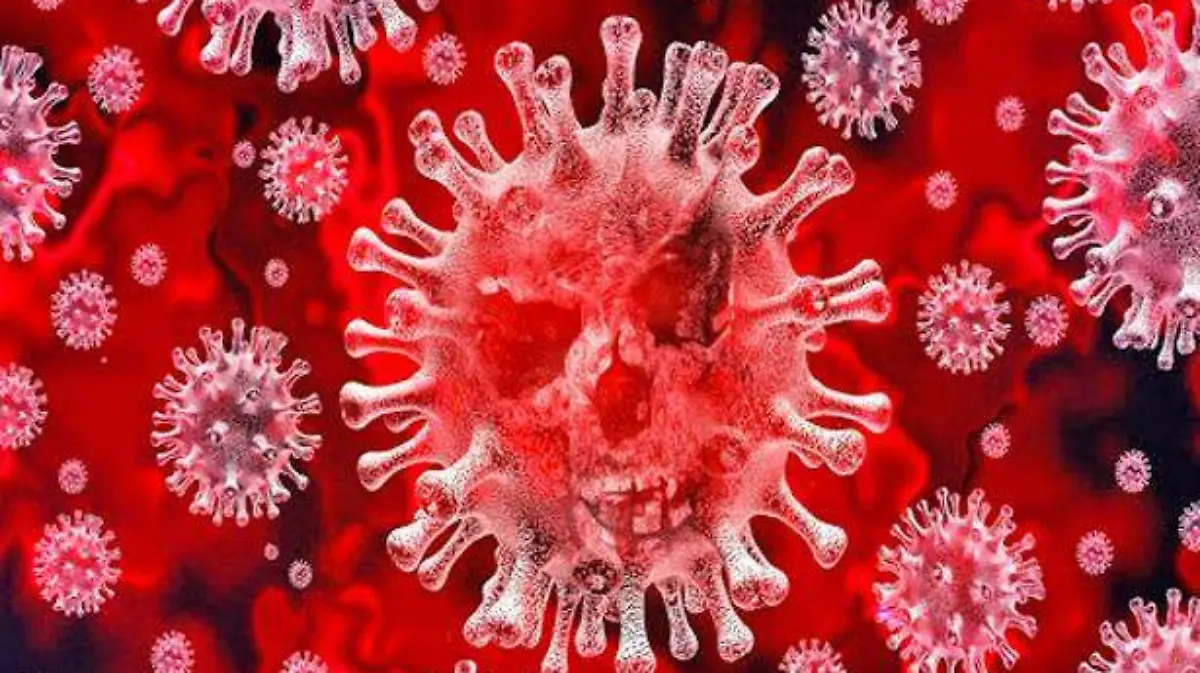 coronavirus