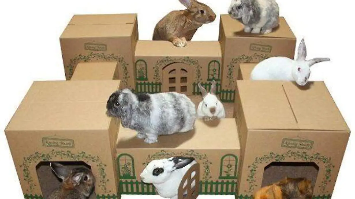 caja4