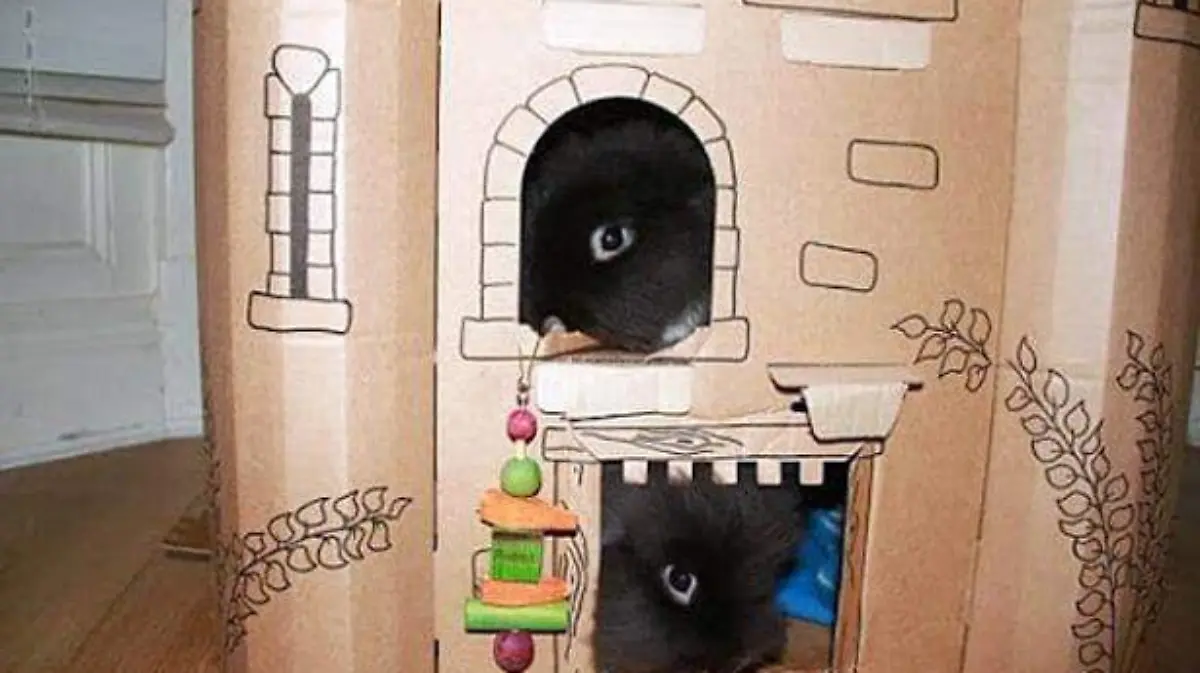 caja1