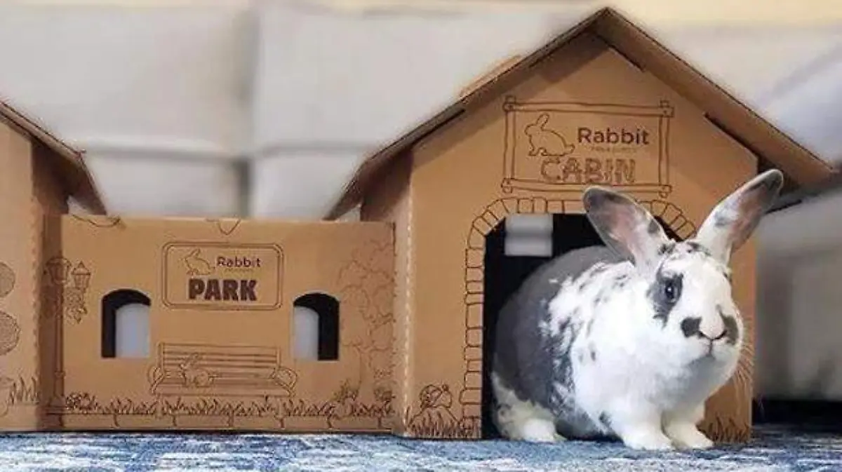 caja2