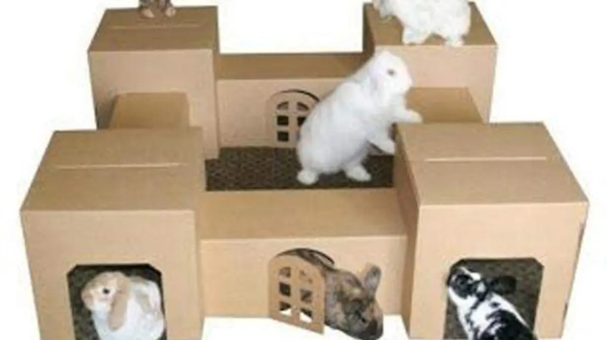 caja3