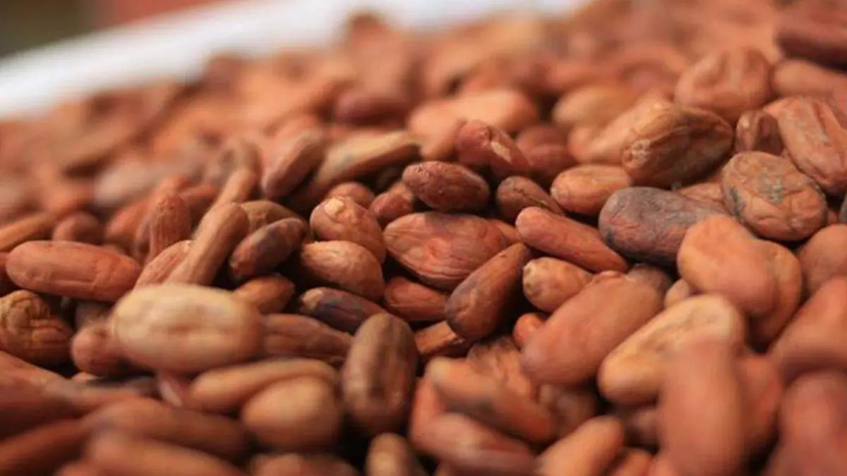 Pozol-Cacao
