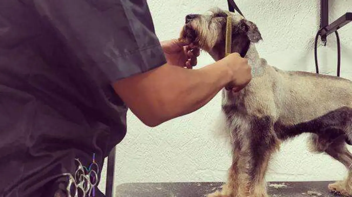 121626961_703657366903650_9094570821077654436_o