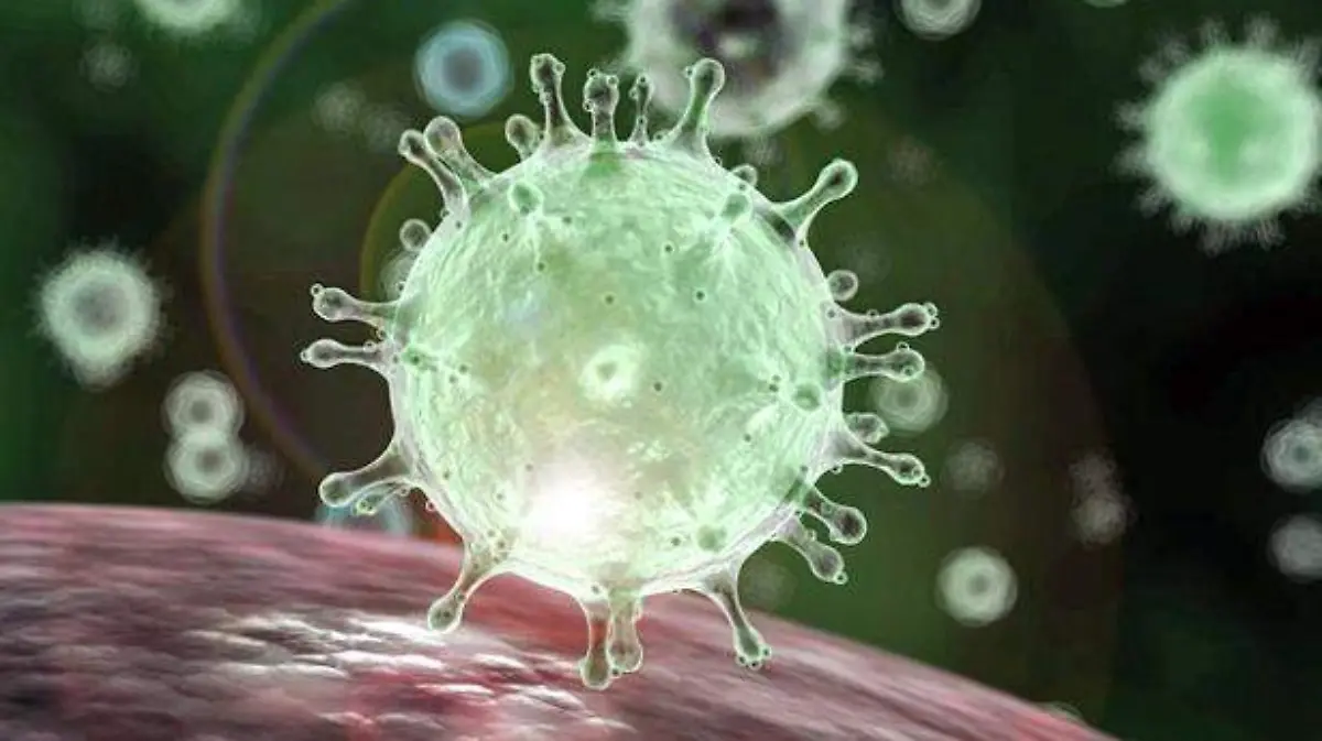 coronavirus