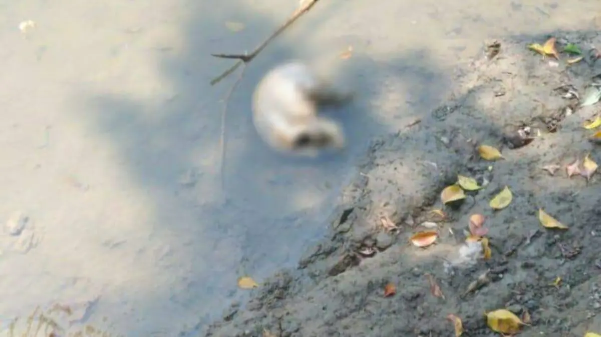 d5e49859-d7bc-4054-af20-74bbc28c2d9a