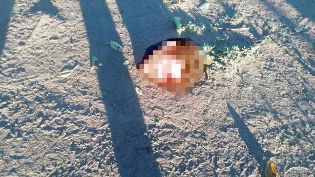 Decapitado-en-Huimanguillo-2