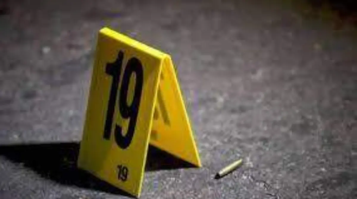 seguridad1