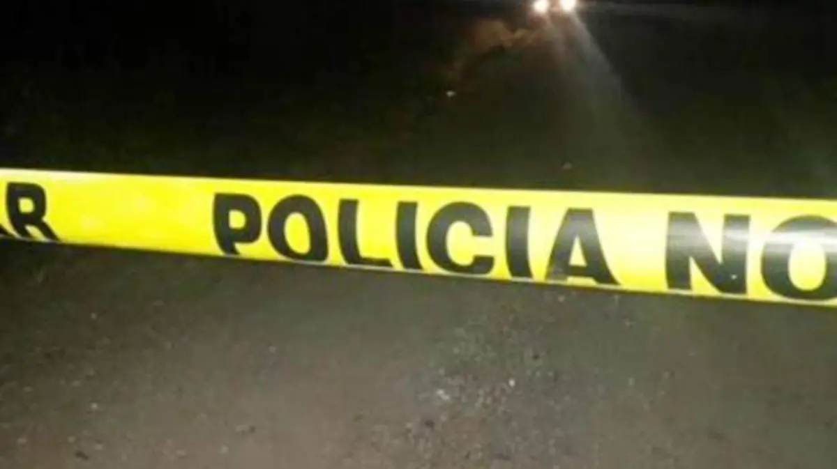 Nuevo proyecto (56)