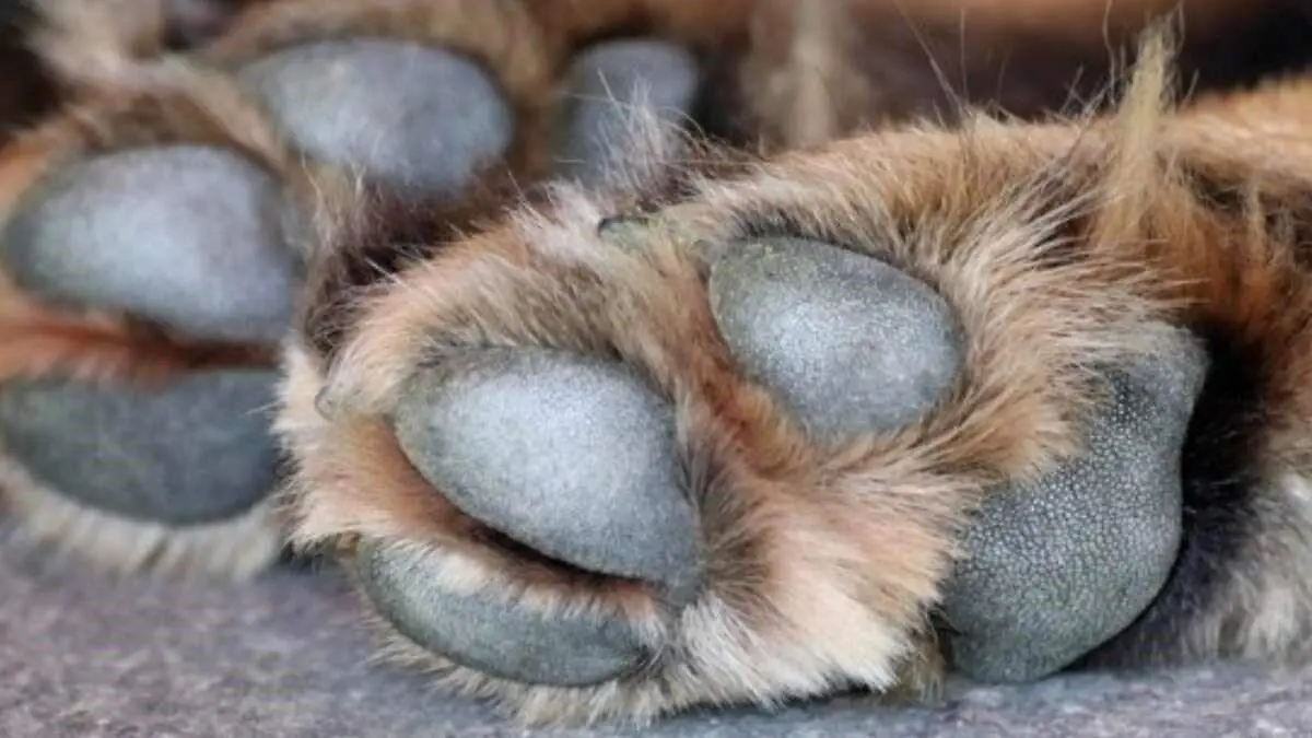 aa95bba8-48fa-46e6-b290-ec99d7f4af0c