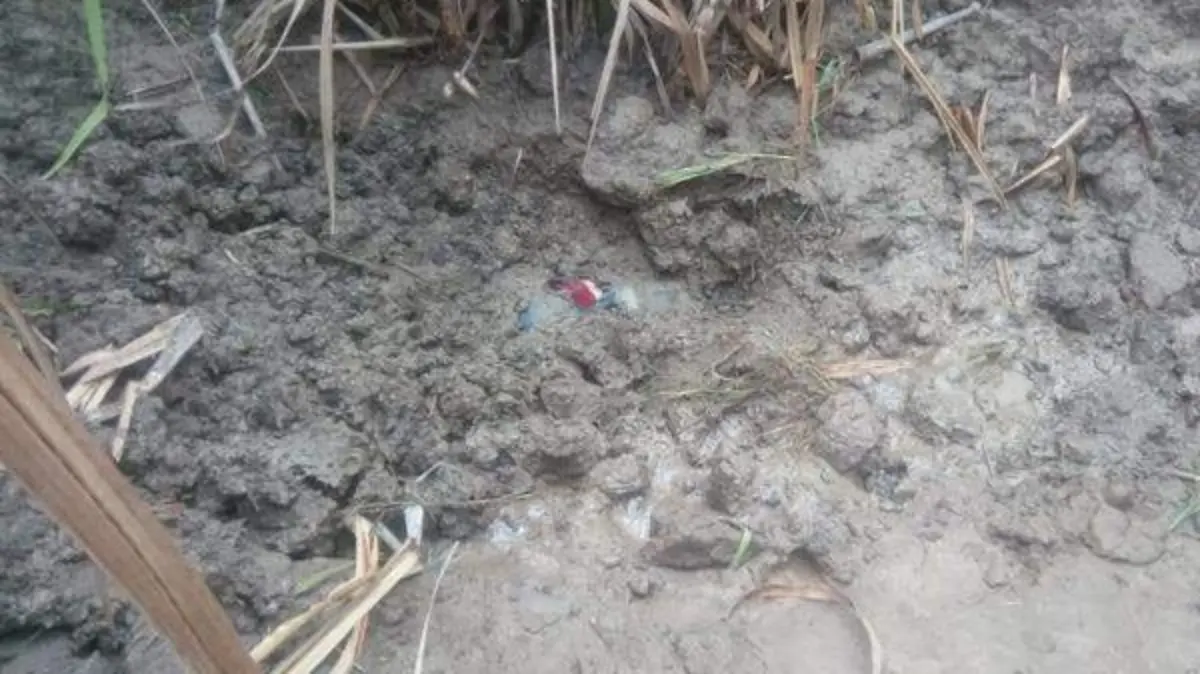 Asesinado_Municipios copia