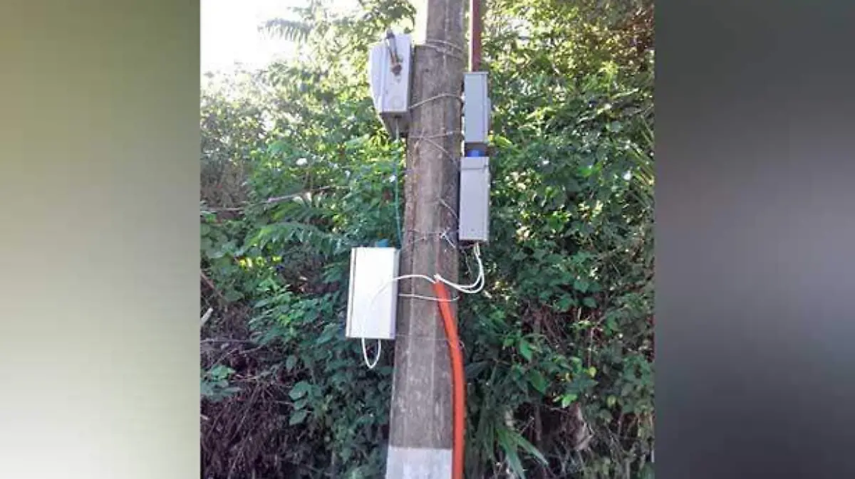 segvandalismo