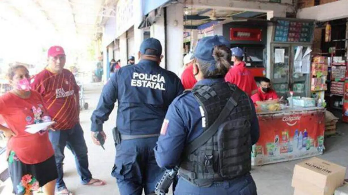 polis2 copia