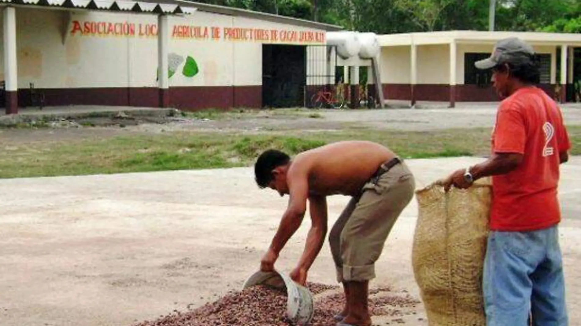 Asaltan-planta-fermentadora-de-cacao