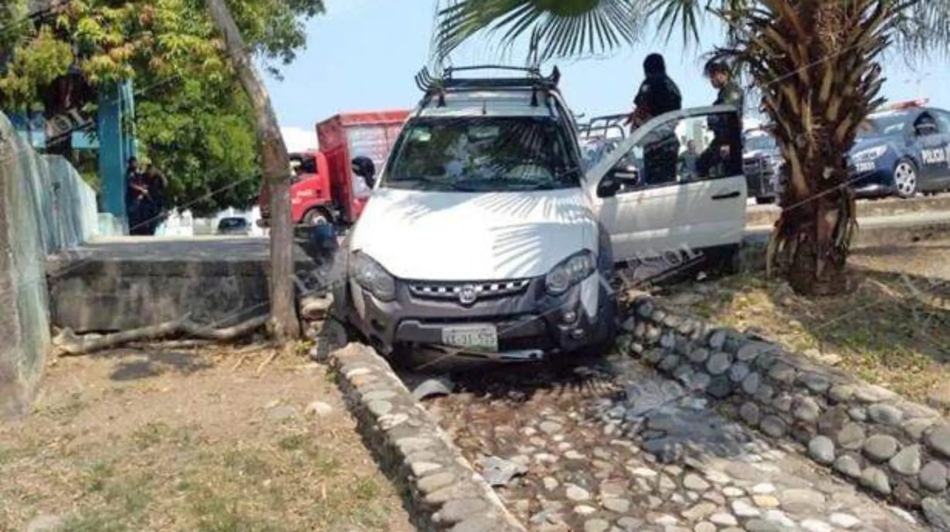 En-operativo-policiaco-detienen-a-“robacarro”