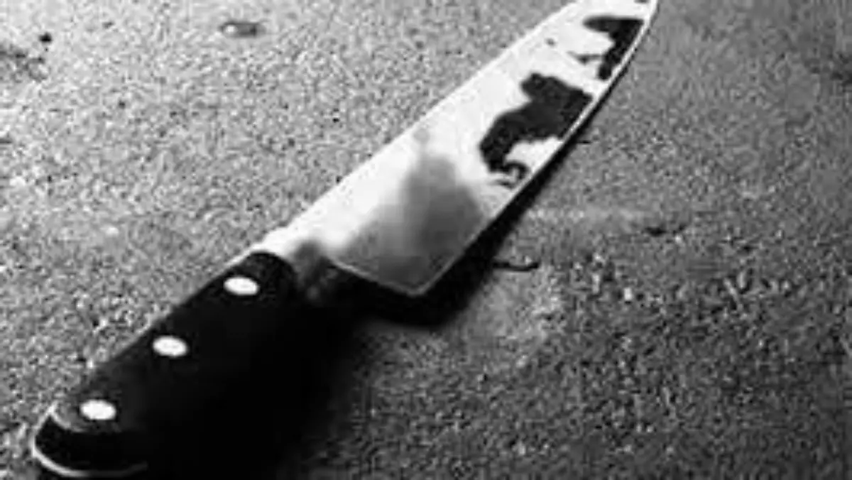 b2e2ce7d-74e5-4031-9b0e-ac13307e029e