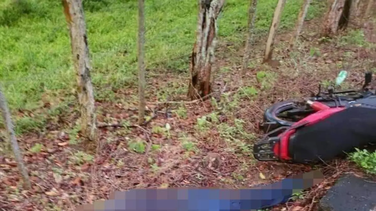 6c5b6c2a-bd8f-4ca6-87bf-7d1bb633f1c4