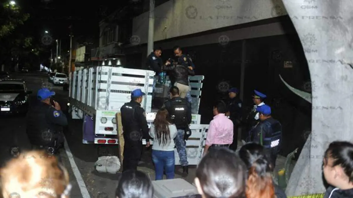 rescate-perros-gam-(3)