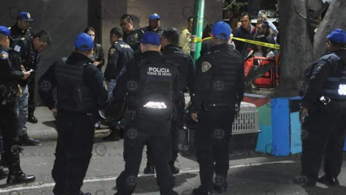 rescate-perros-gam-(2)