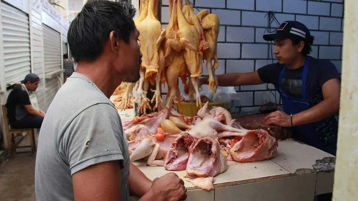 Gallina2 copia