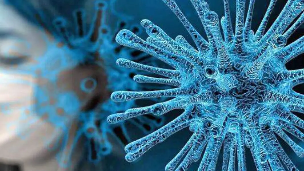 coronavirus