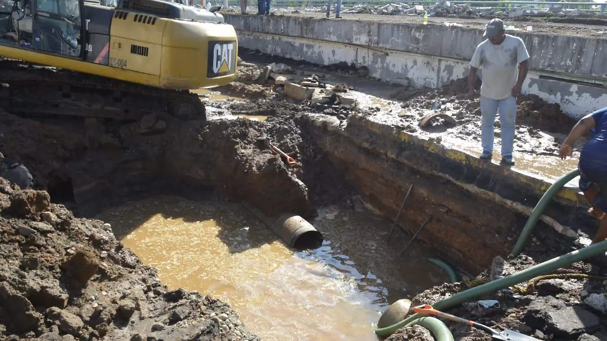 WhatsApp Image 2022-04-28 at 9.50.35 AM