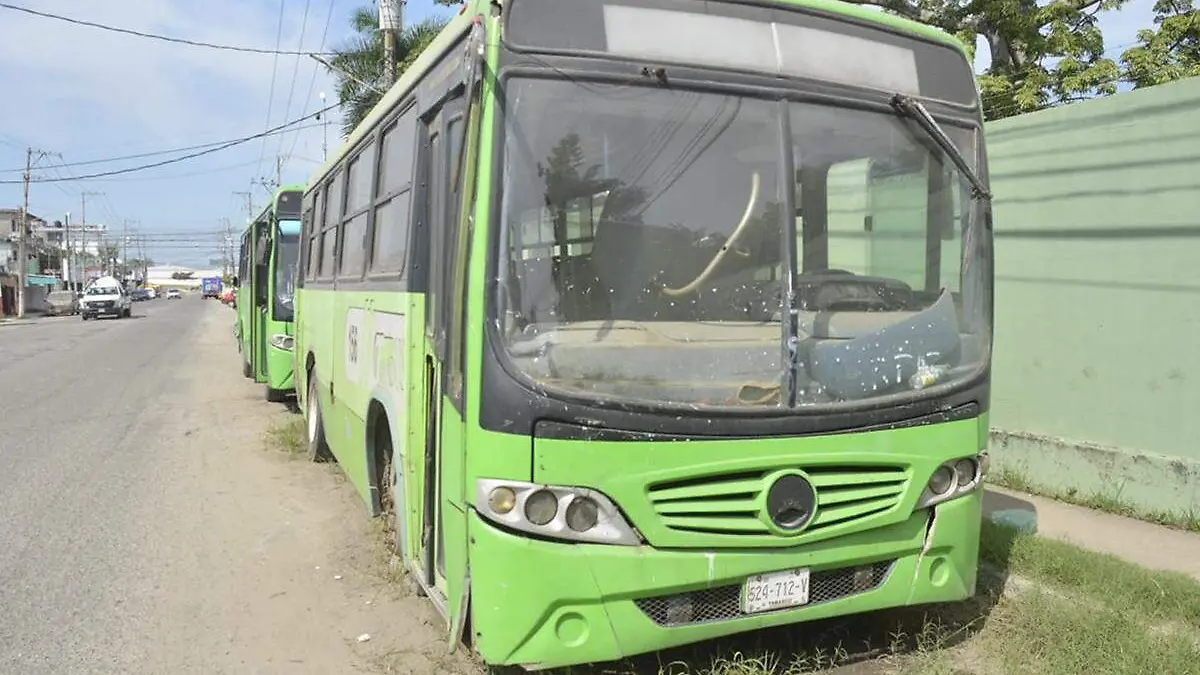 Transbus2 copia