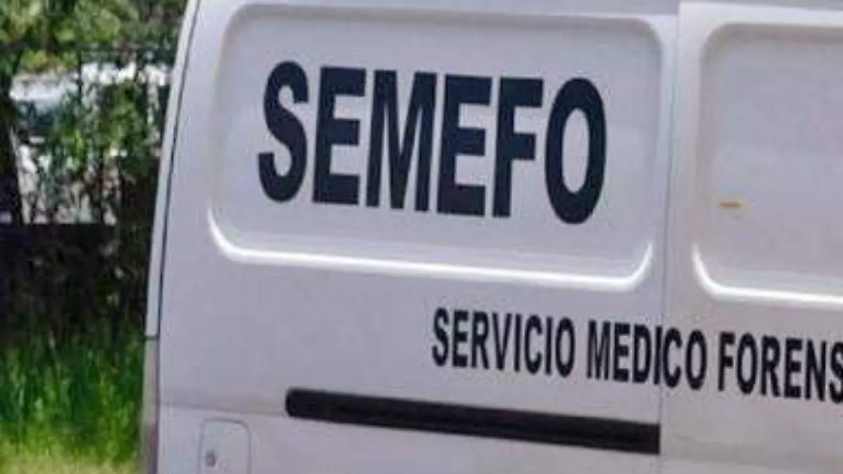 semefo