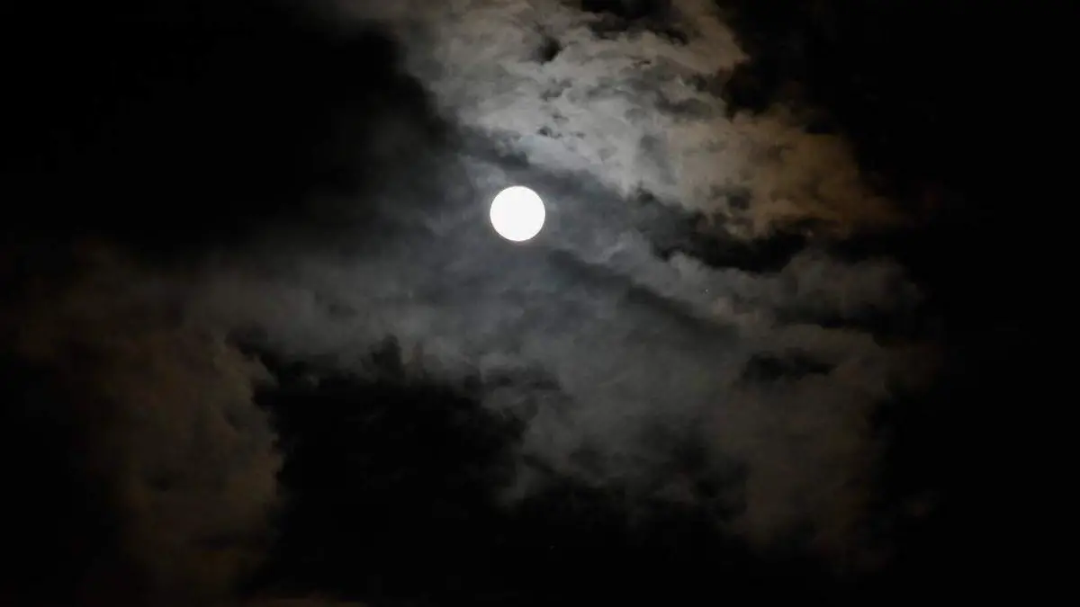 76ab3aa9-82f8-49ca-8a93-2019f593a043