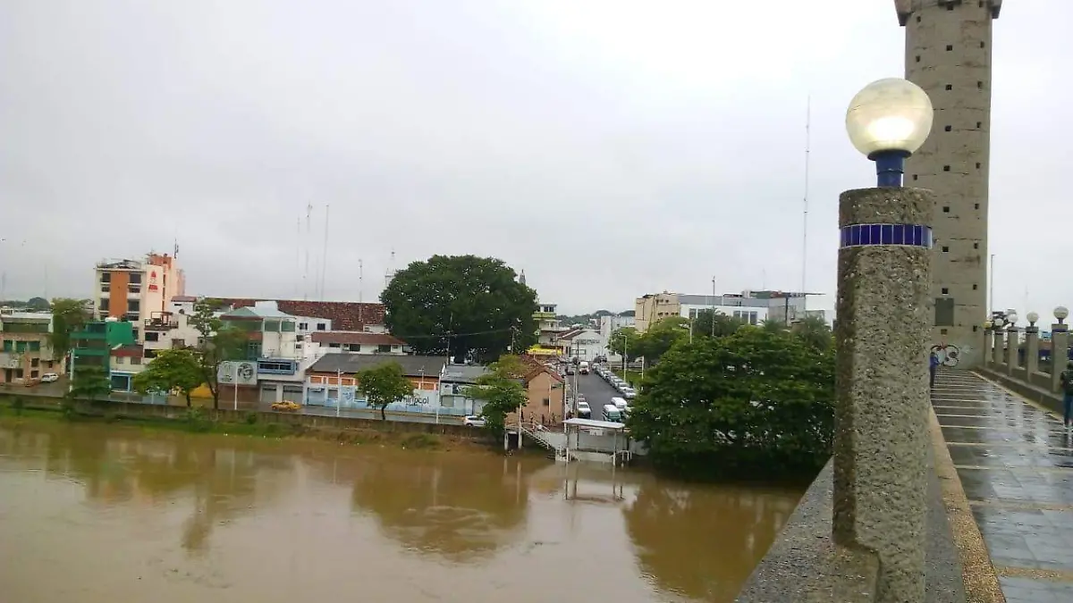 Image 2020-10-01 at 10.46.50