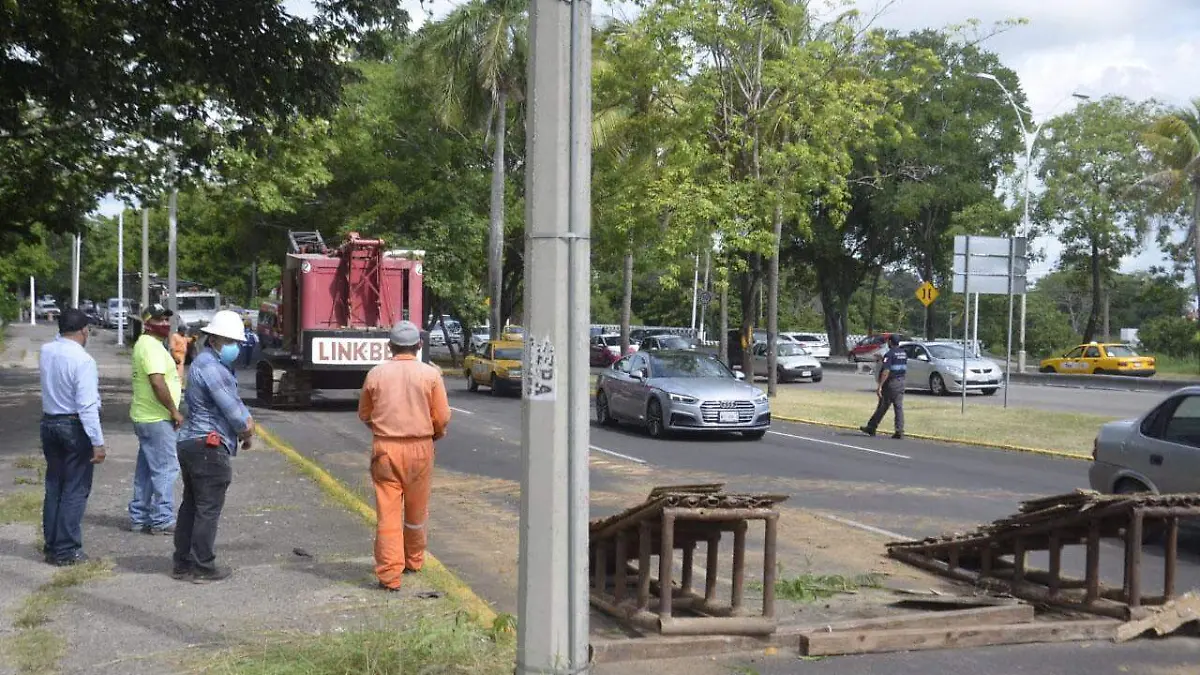 distribuidor