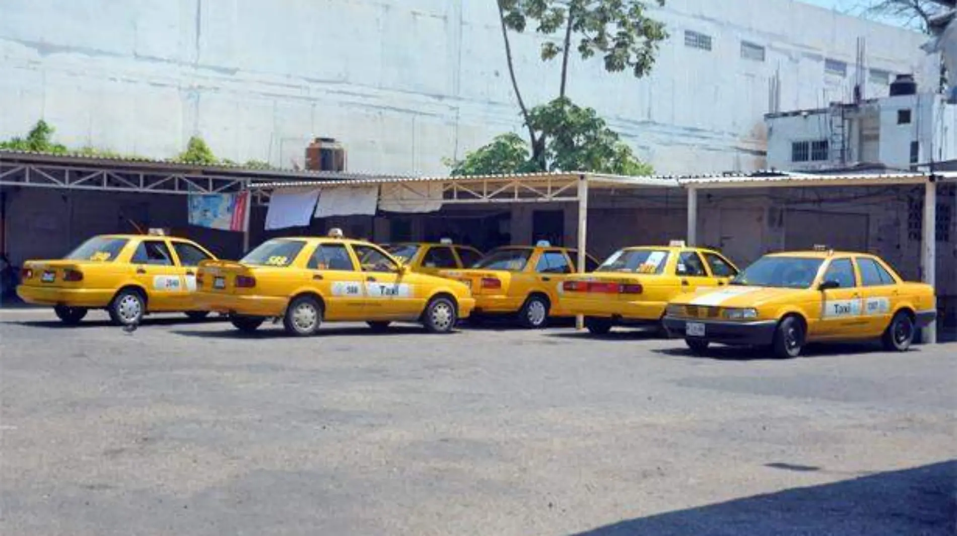 taxis