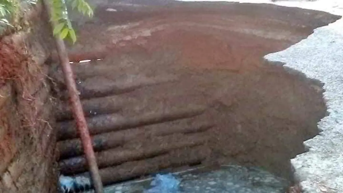 jalapa