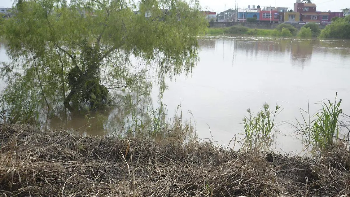 db74d5a8-a730-4046-8c1e-e91afe15612e