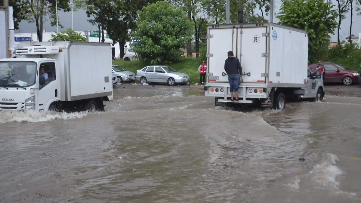 10524243-bf49-44ff-8b71-4b00088ecbfd