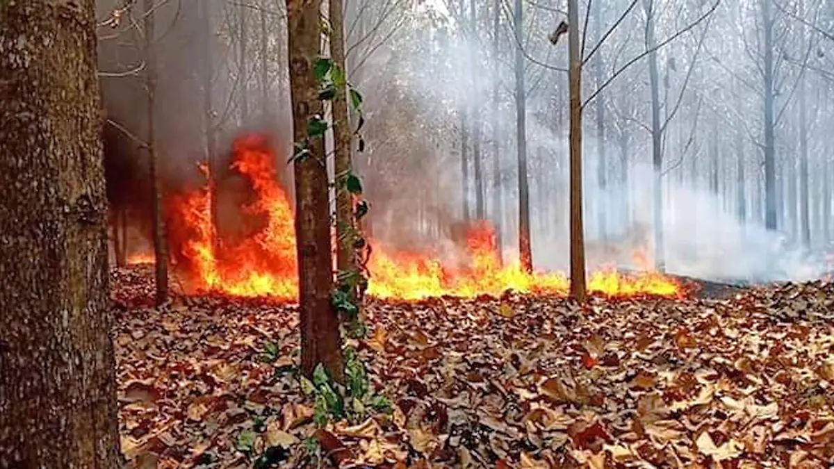 INCENDIO 1