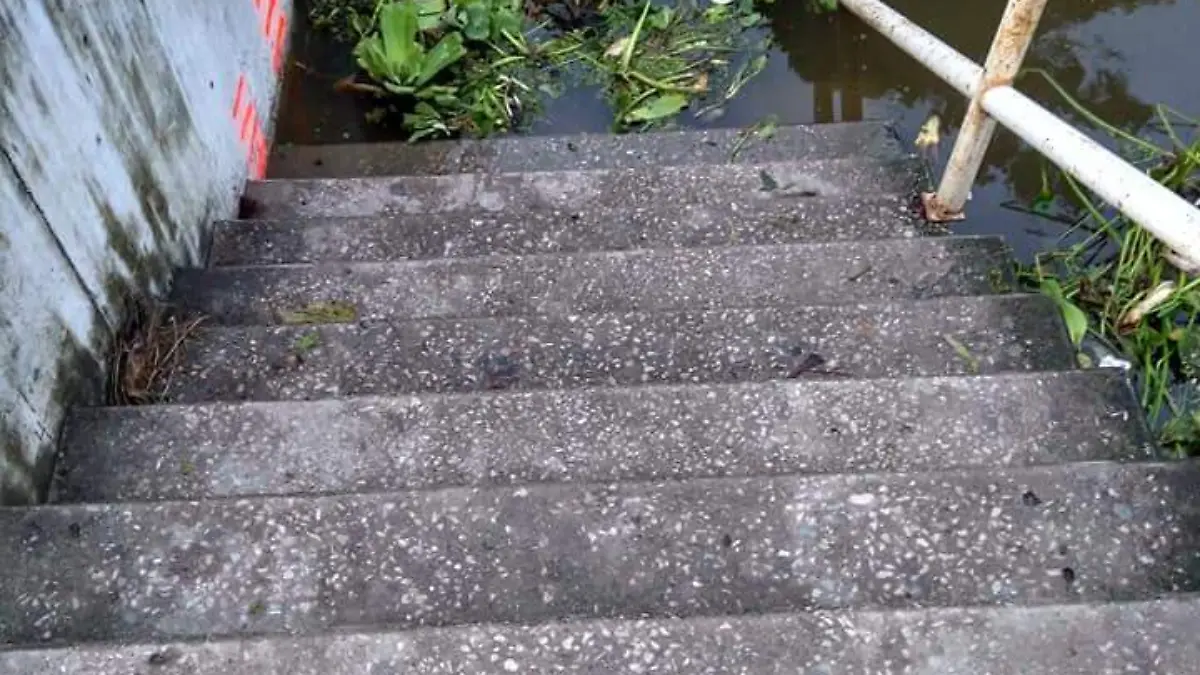 Image 2020-10-08 at 8.11.45 AM