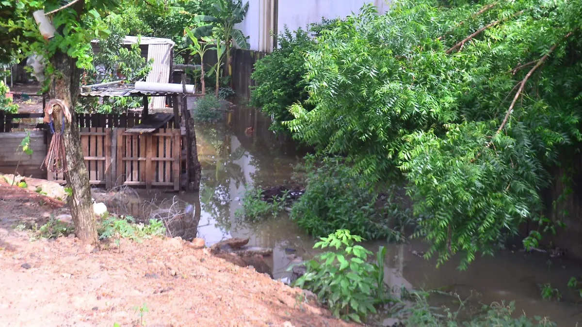 FRAC BOSQUES DE SALOYA-CARLOS PEREZ (3)