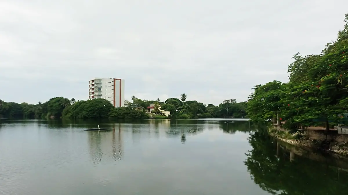 Proyecto nuevo