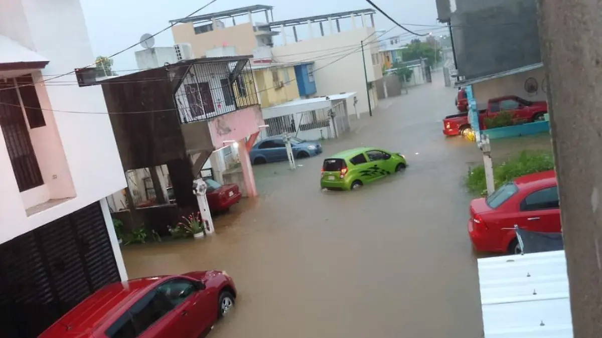 WhatsApp Image 2020-10-30 at 8.20.26 AM