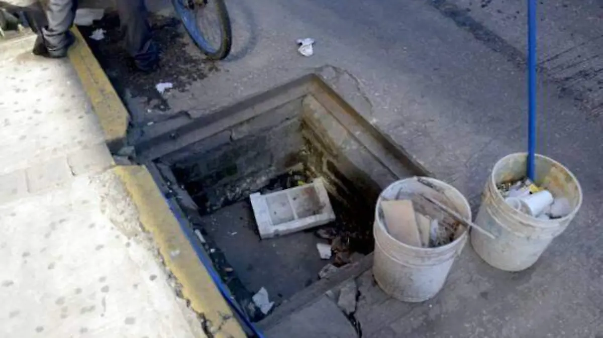 BACHES