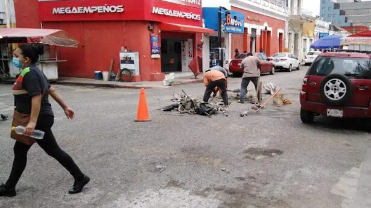 Bache3 copia