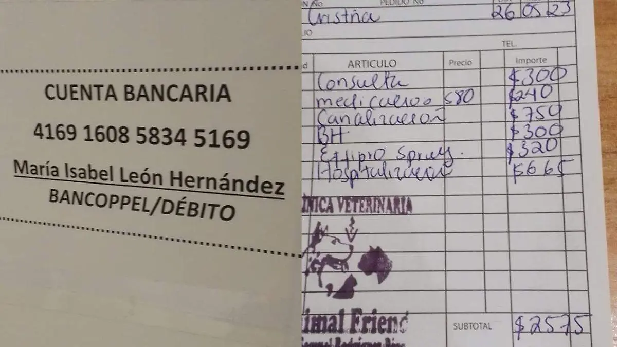 Perrtia-Gasto