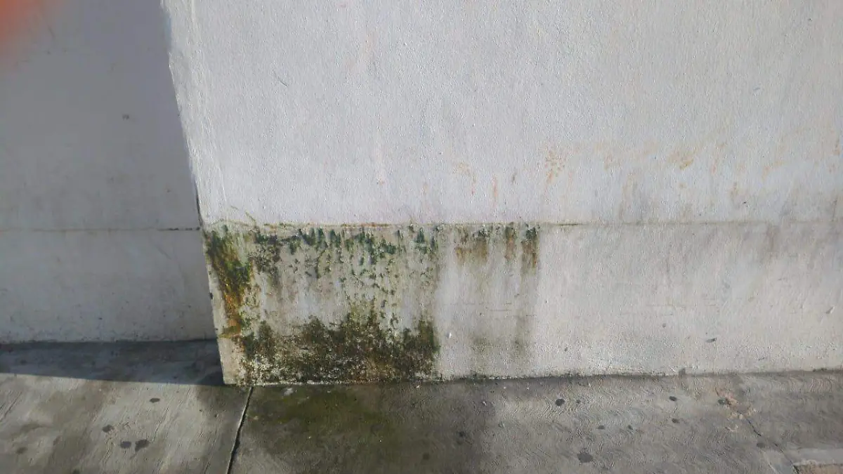 e022024a-ad0b-4f21-af24-8153ab4438ca