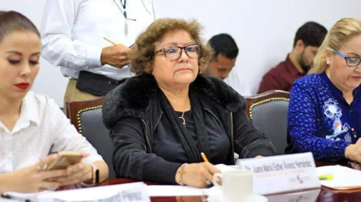 comision-inspectora