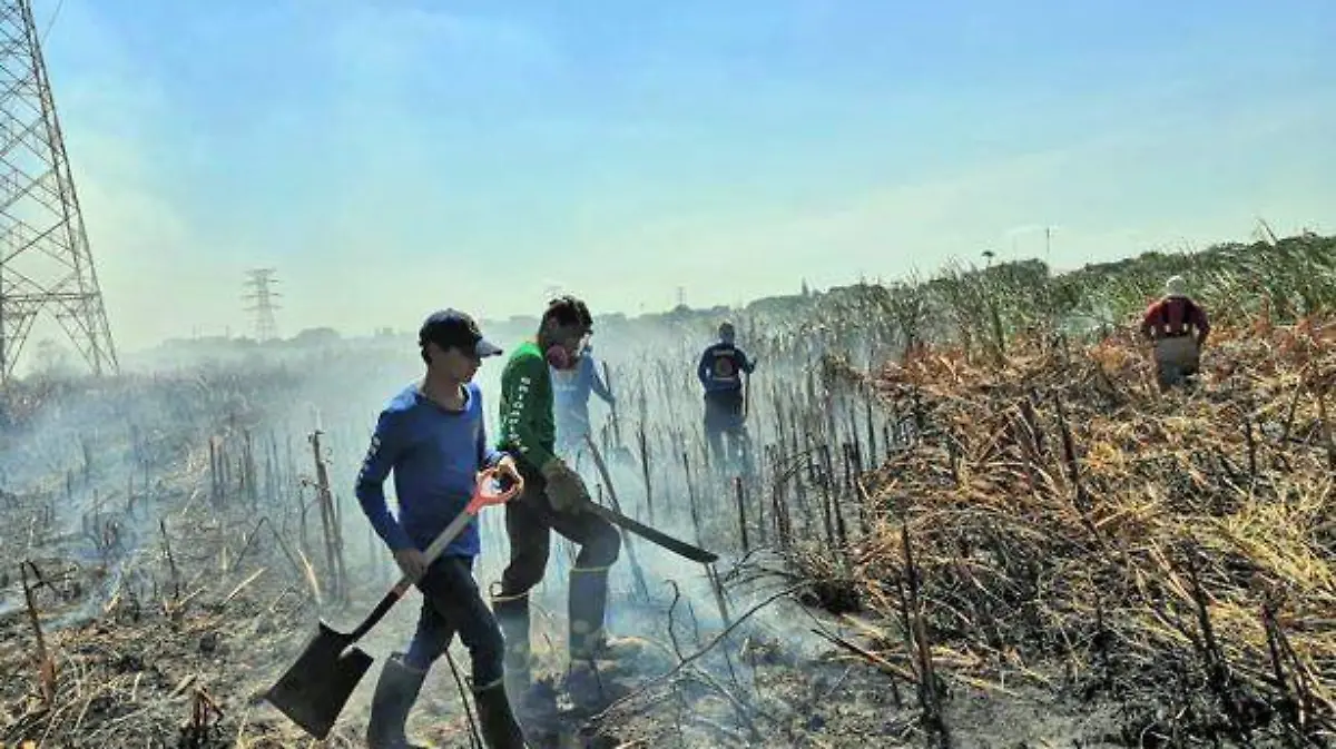 locincendios