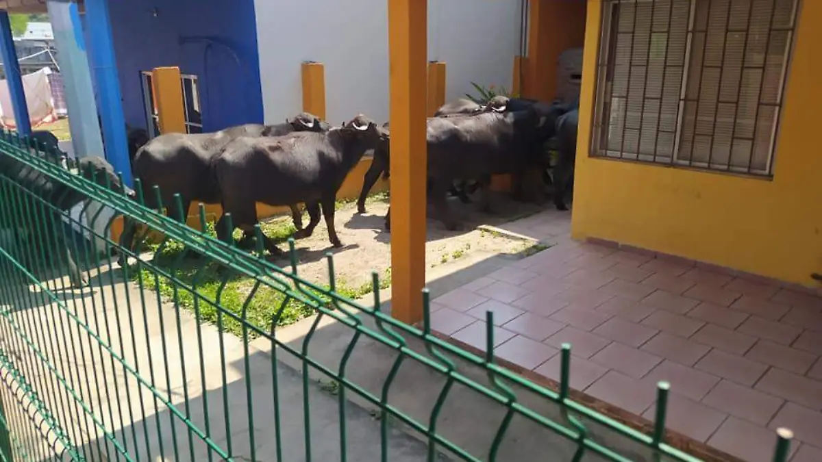 37373925-a985-486c-adda-4569f33a90ea