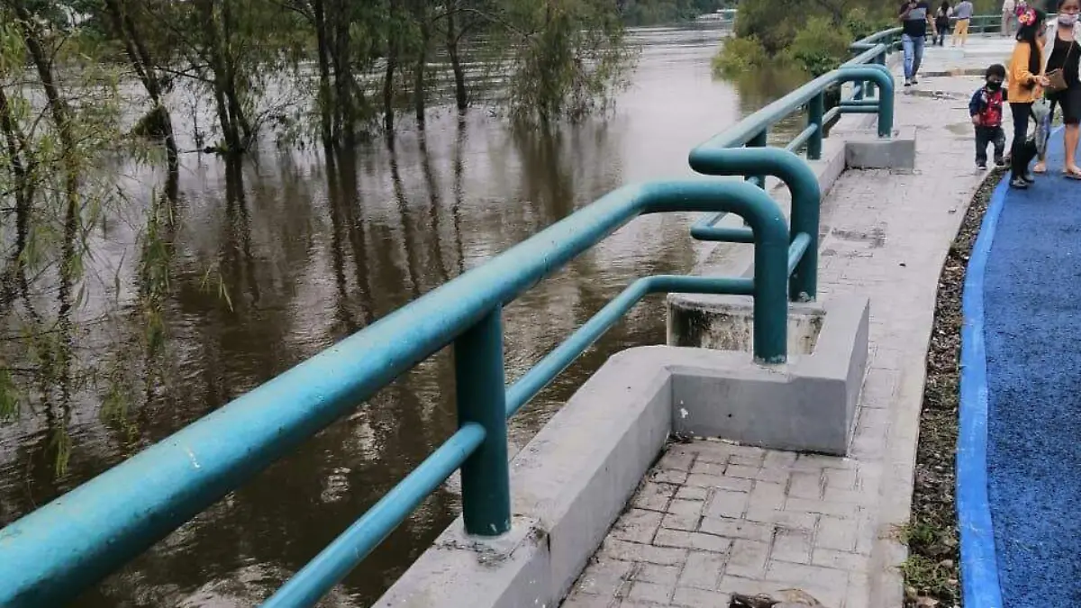 Image 2020-10-08 at 8.11.46 AM (1)