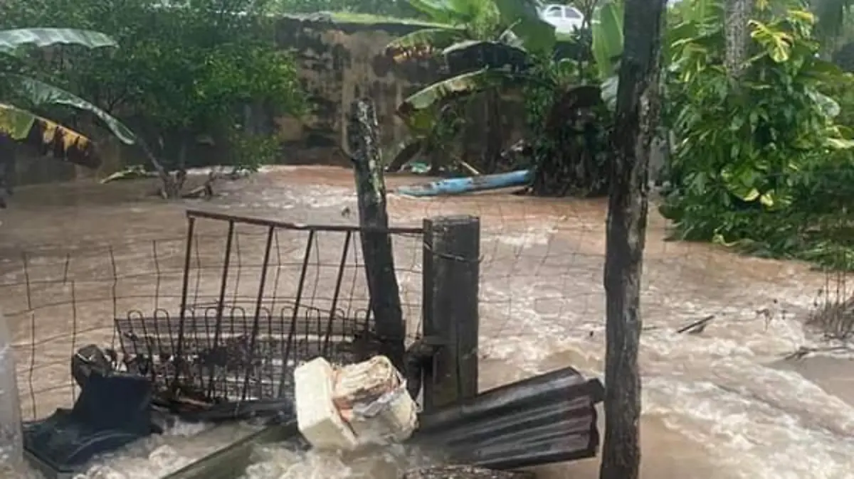 6f240209-8d82-40aa-a72d-8399aee0eb73