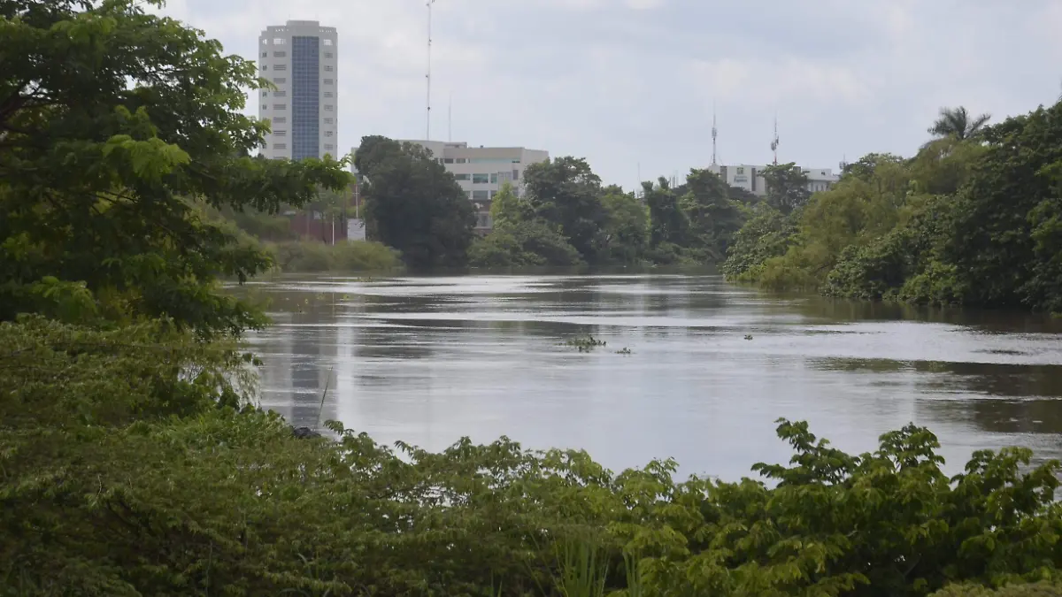RIO CARRIZAL-JCH31
